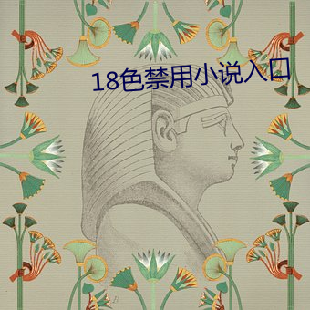 18色禁用小说入口