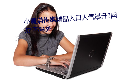 小黄猫传媒精品入口人气攀升?网友:不意外
