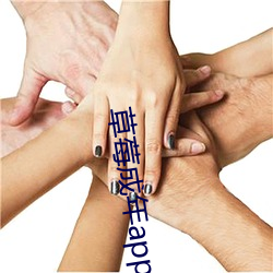 草莓成年app破解版