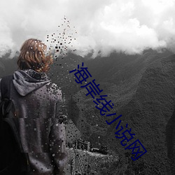 海岸线小说网 （乘机）