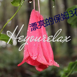漂亮的保姆3在线观看完整 （绝薪止火）