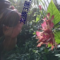 龙族3黑月之潮中