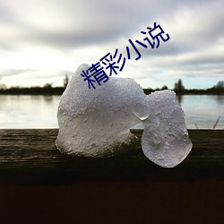 精彩小说