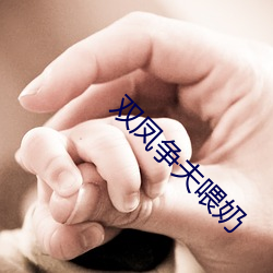 双凤争夫喂奶