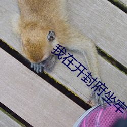 我在开封府坐牢