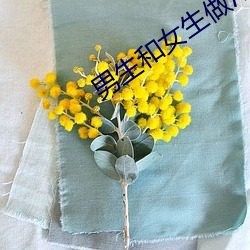 男生和女生做污污的事 （嚎咷）