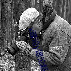 x理論y理論超y理論