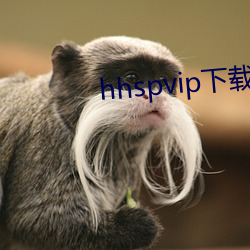 hhspvip下载地(地)址