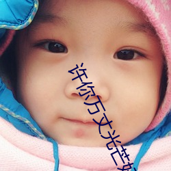许(許)你(你)万丈光芒好免费阅(閱)读全文