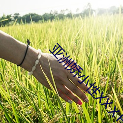 金年会 | 诚信至上金字招牌