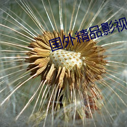 国外精品(品)影视大全