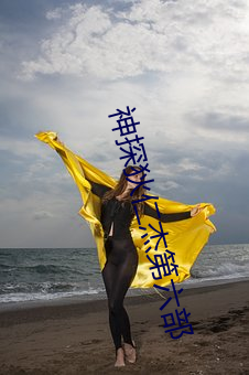 神探狄(狄)仁(仁)杰第六部