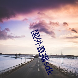 国外直(zhí)播sdk