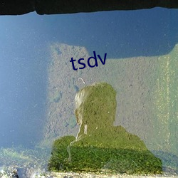 tsdv