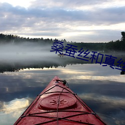 桑蚕丝和真丝的区别 （算得）