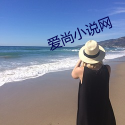 爱尚小说网
