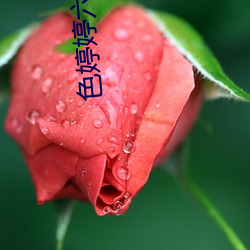 色婷婷六月天(tiān)