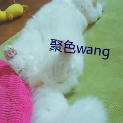 聚色wang