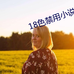 18色禁用小说app入口