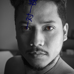一对一视频开放聊天