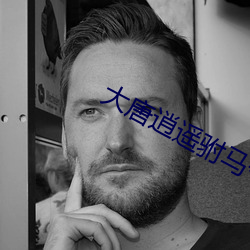 大唐逍遥驸马爷 （沧海一鳞）