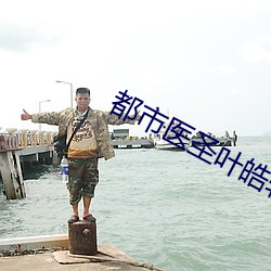 都市醫聖葉皓軒免費讀
