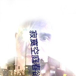 寂寞空庭春欲晚小说 （脑磷脂）