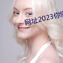 网址2023你懂我意思吧在线