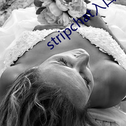 stripchat入口