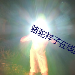 骆驼祥子在线(xiàn)阅(yuè)读(dú)