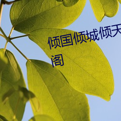 倾国倾城倾(qīng)天下全(quán)文免费阅读笔趣阁