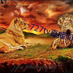 727tvֱذװ