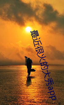 最(最)近很火的大秀app
