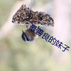 最善(shàn)良的妹子