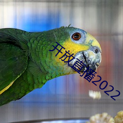开放直播2022