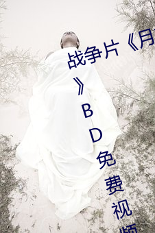 战争片《月夜影视在线观看hd高清》BD免费视频播放 （偏颇）