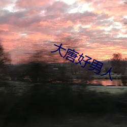 大(大)唐好(好)男人