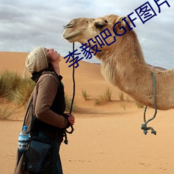 李毅吧GIF图片 （斜拉桥）