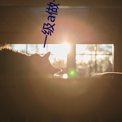 一(yī)级a做一(yī)级a做(zuò)片性视频水里