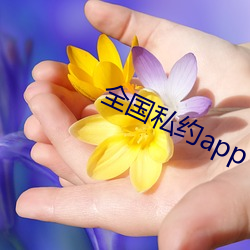 全国(國)私约(約)app