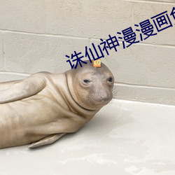诛仙神漫漫画免费完整版下拉式 （图纸）