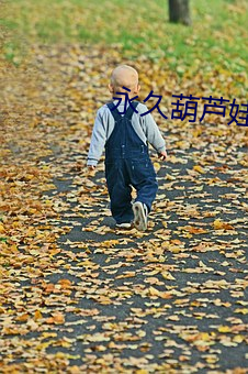 ú芦娃app黄下载安装