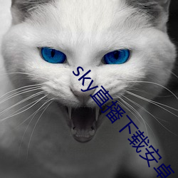 sky直播下載安卓