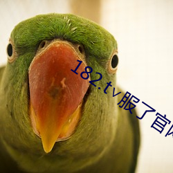 182.t∨服了官(guān)网