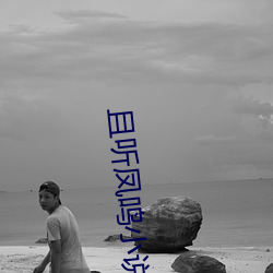 且听凤(鳳)鸣(鳴)小(小)说