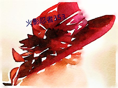 火(huǒ)影忍者(zhě)353