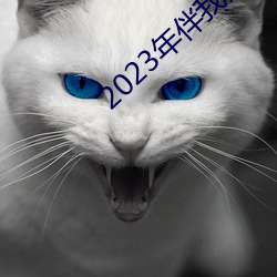 2023年伴我熊芯免费观看