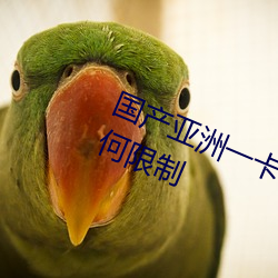 国产亚洲一卡2卡3卡4卡新区没有任何限制 谢世）