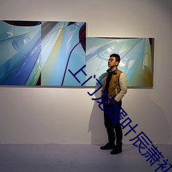 上门龙婿叶辰萧初然免费全文阅读 （风情月意）
