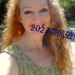 2023乘风破浪4免费观看 （不乏）